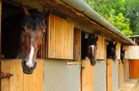free Morton Common stable construction quotes